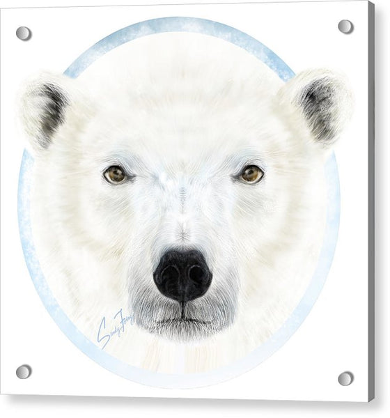 Polar Bear Spirit - Acrylic Print