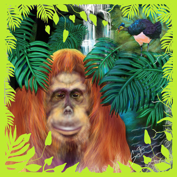 Orangutan With Maleo Bird - Art Print