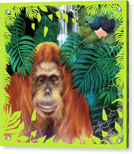 Orangutan With Maleo Bird - Acrylic Print
