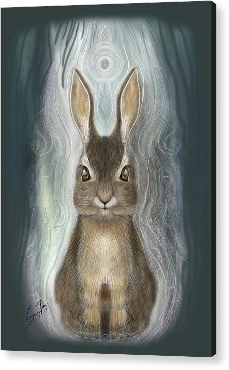 Rabbit Guide - Acrylic Print